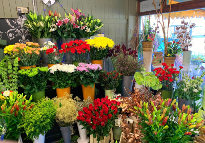 Florist Choice - A bouquet of the florists choice made using the freshest flowers of the day.